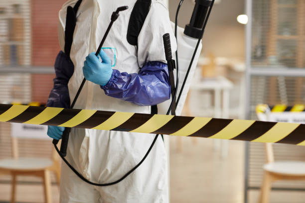 Professional Sewage Cleanup technician working in Huntsville, AR